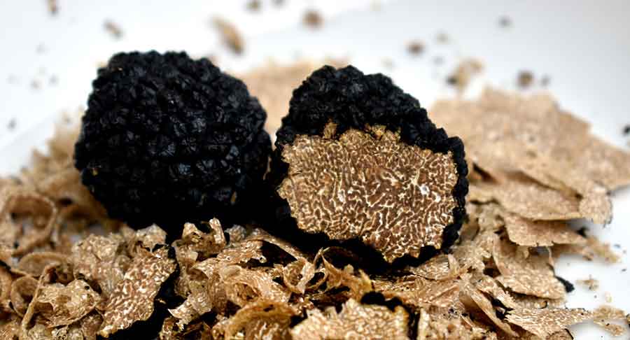  Les marchés aux truffes